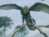 archaeopteryx_1