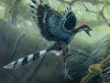 archaeopteryx_2