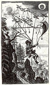 Fliegende Wandersmann_1659